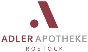 Mehr über den Artikel erfahren PhiP in Rostock